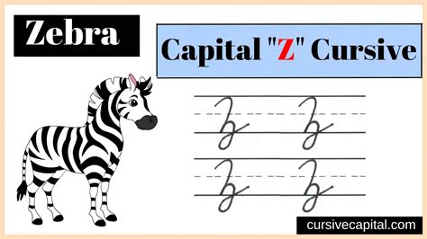 capital z in cursive|Cursive Z .